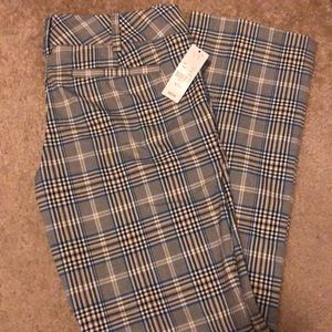 New York & company slacks